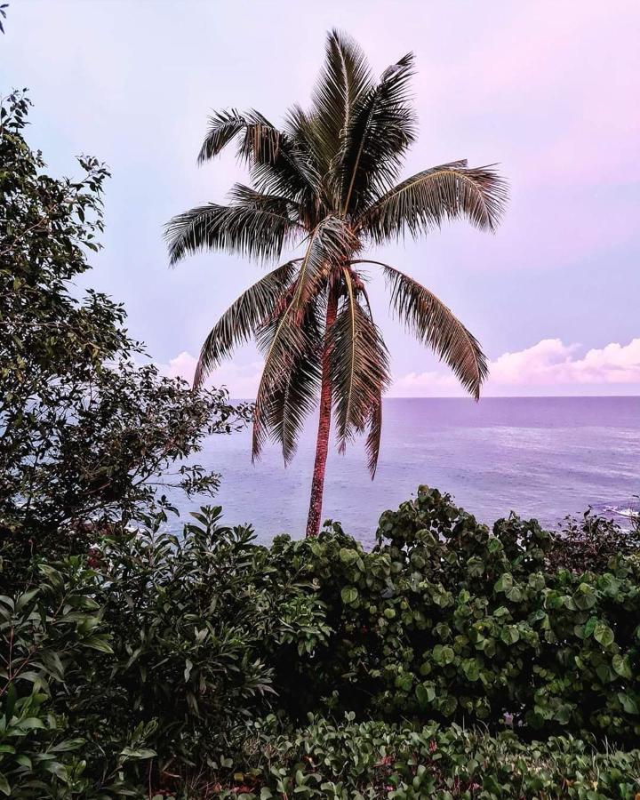 City View ANDAMAN AND NICOBAR ISLANDS Eksteriør bilde